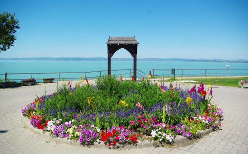 Place image